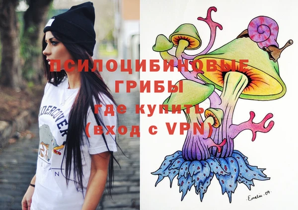 прущая мука Вязники