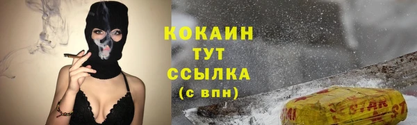 PSILOCYBIN Вяземский
