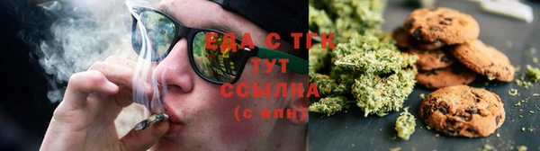 PSILOCYBIN Вяземский