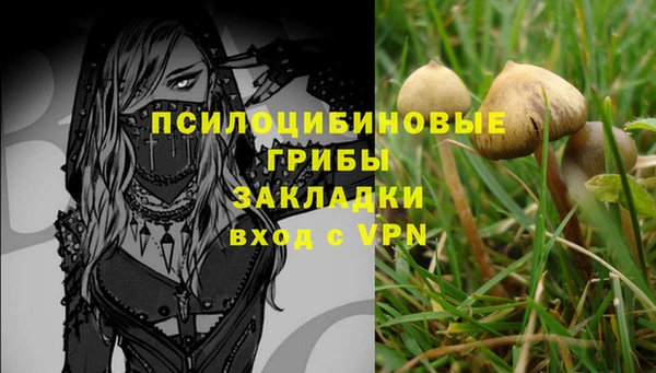 PSILOCYBIN Вяземский