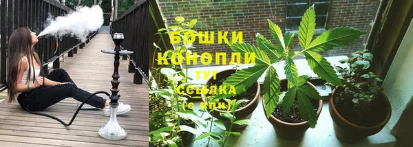 индика Снежногорск