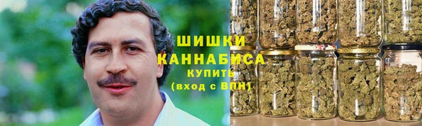 PSILOCYBIN Вяземский