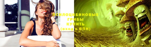 прущая мука Вязники