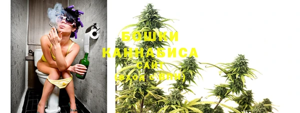 PSILOCYBIN Вяземский