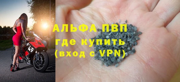 PSILOCYBIN Вяземский